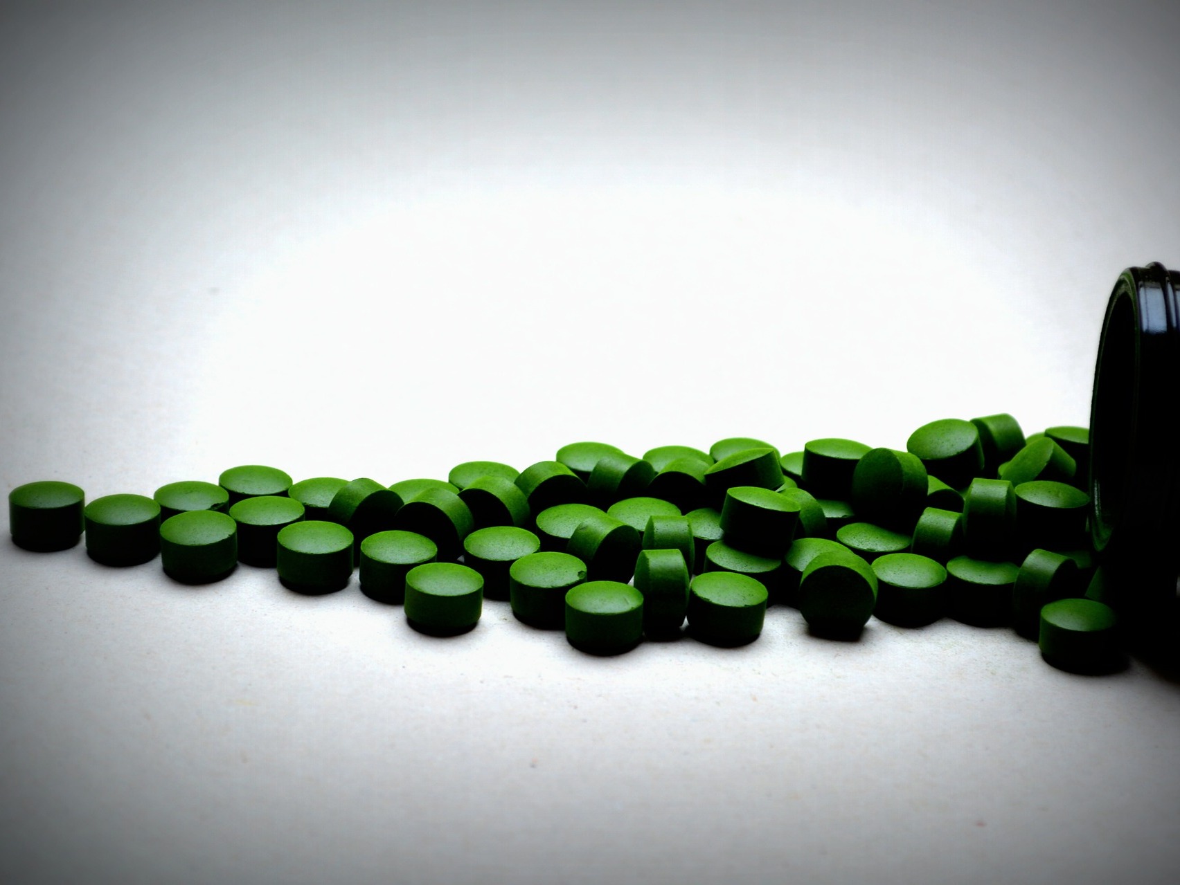 alga chlorella